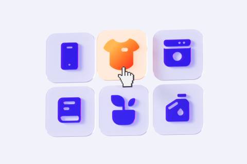 множество категорий